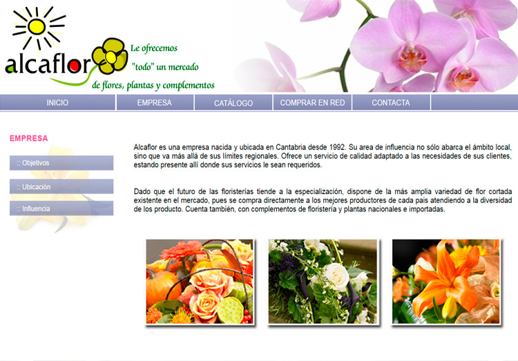 paginas web